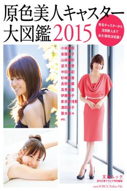 皆藤愛子/小林麻耶/岡副麻希/美馬怜子《原色美人キャスター大図鑑2015》 [PB]