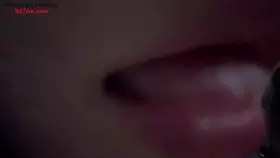 是的没错_12月2