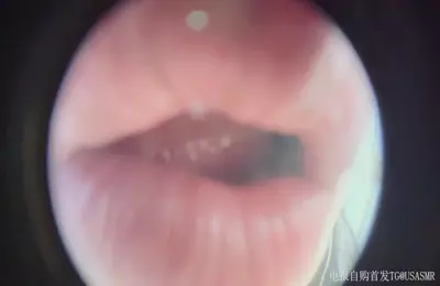 布鲁比呐呐6