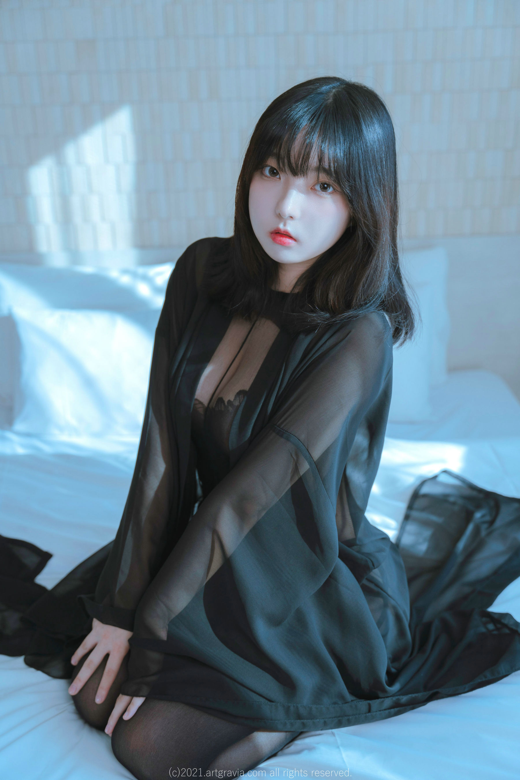 [ARTGRAVIA] Hansom_第1张