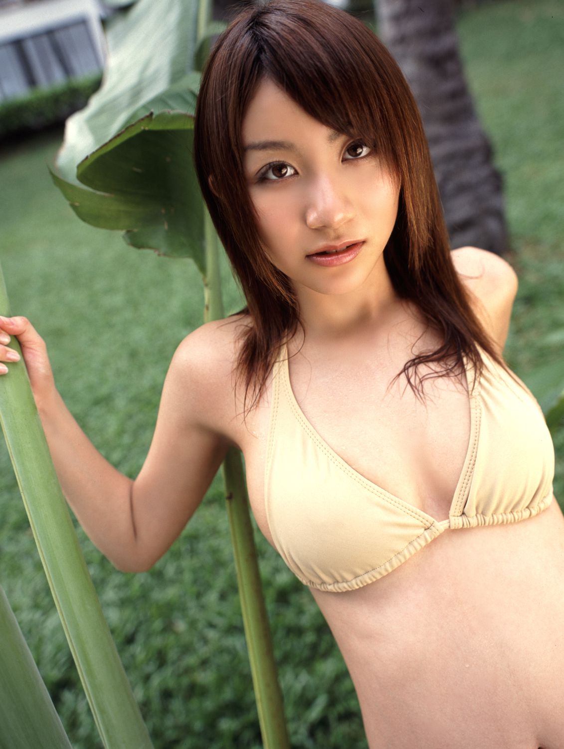 [DGC] NO.244 Ai Kawanaka 河中麻系/河中爱_第3张