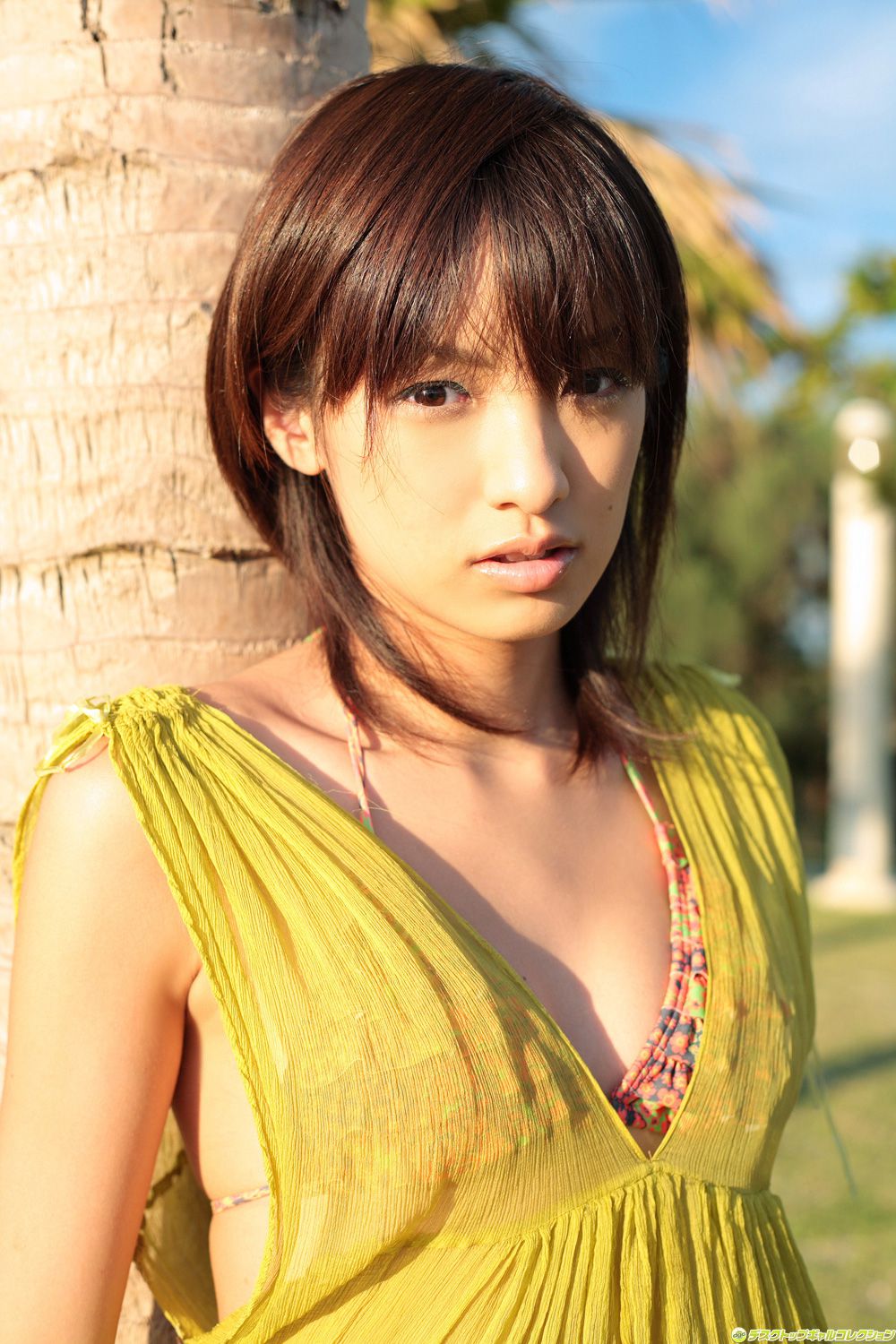 [DGC] NO.528 Akina Minami 南明奈_第2张