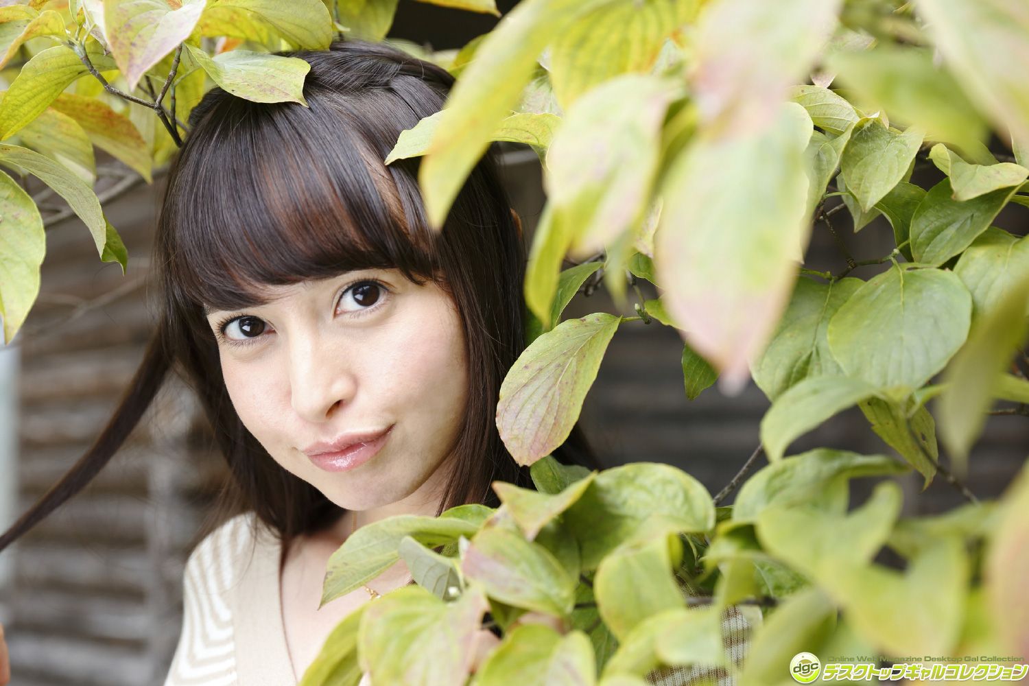 西田藍《コスプレ大好きなハーフのインテリ美少女！》 [DGC] NO.1270_第3张