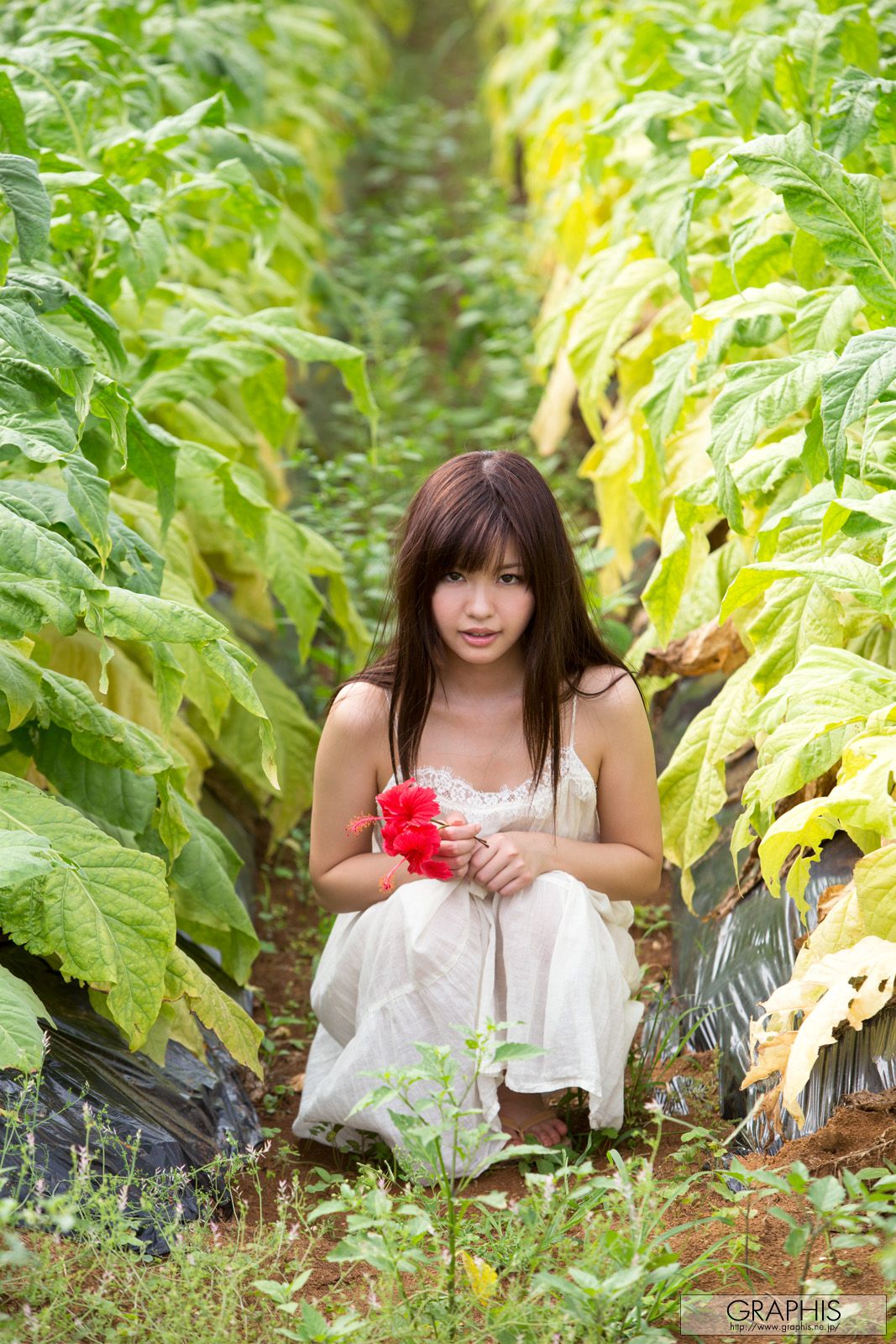 葉山めい/叶山芽衣 [Graphis] First Gravure 初脱ぎ娘_第4张