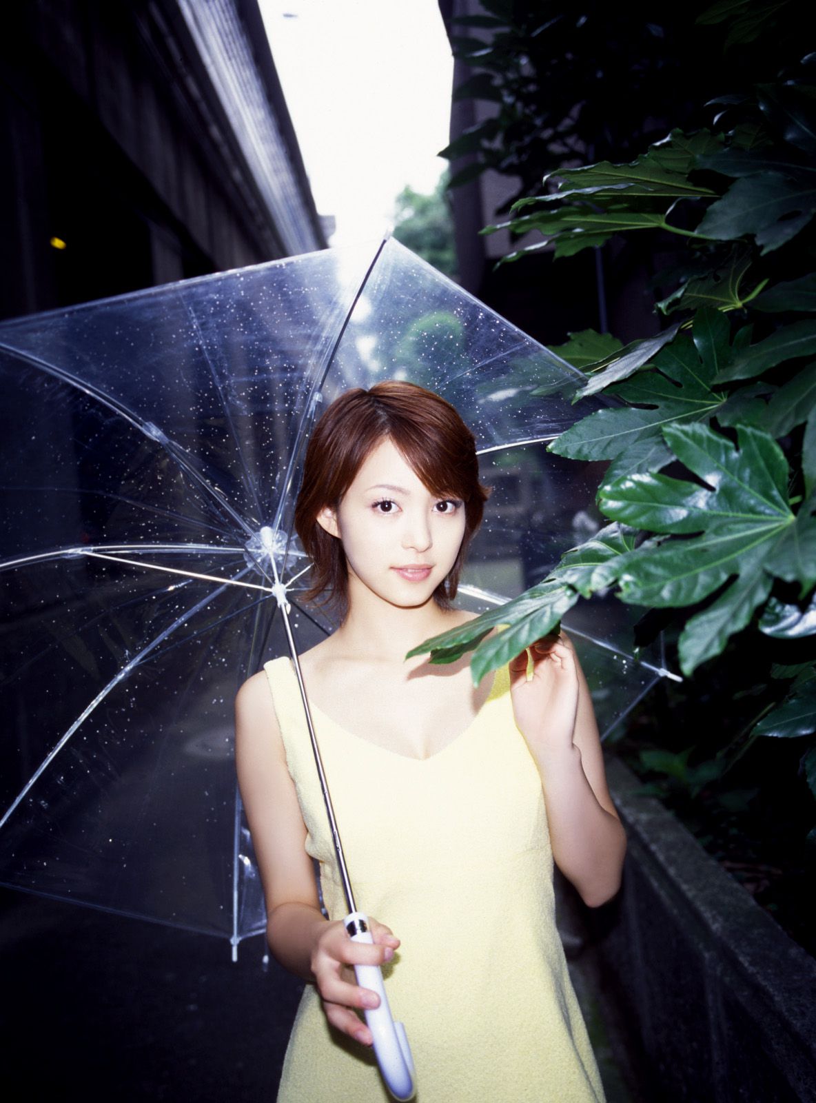 [NS Eyes] SF-No.280 Mayuko Iwasa 岩佐真悠子_第1张