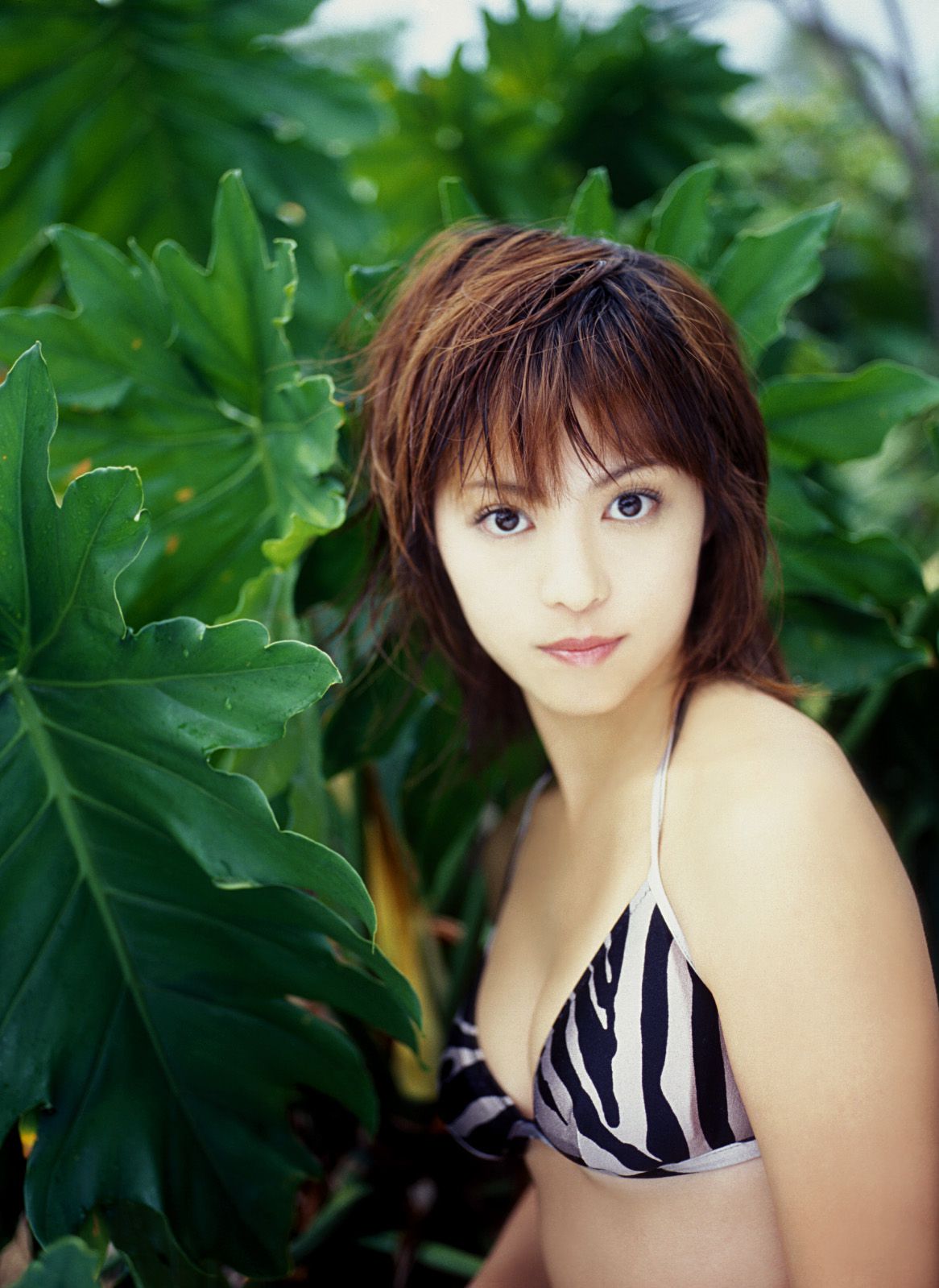[NS Eyes] SF-No.341 岩佐真悠子 Mayuko Iwasa_第2张