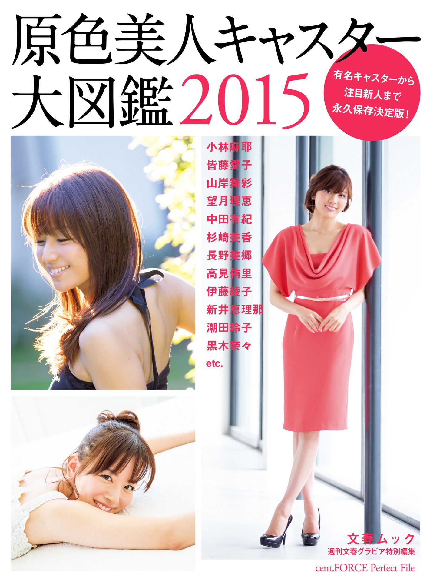 皆藤愛子/小林麻耶/岡副麻希/美馬怜子《原色美人キャスター大図鑑2015》 [PB]_第3张