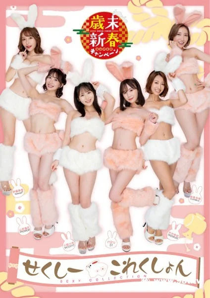 [photobook] 歳末新春SUPERキャンペーン2022-2023 せくしーこれんくしょん_第1张