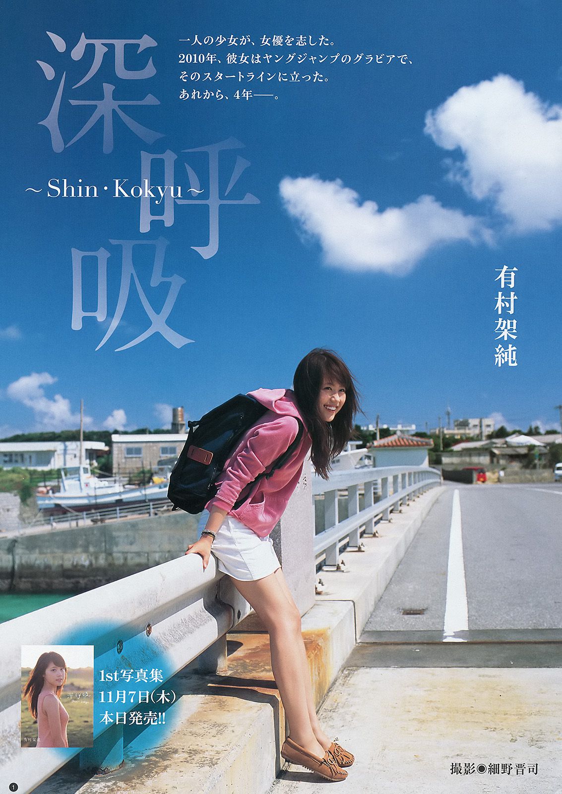 有村架純 星名美津紀 篠崎彩奈 [Weekly Young Jump] 2013年No.49 写真杂志_第2张