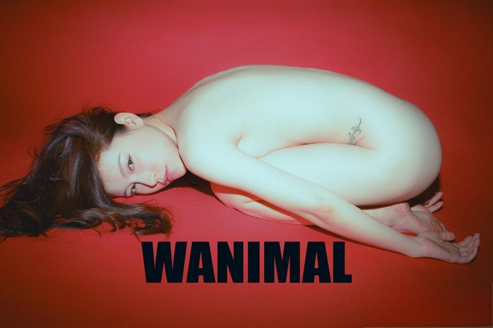 [合集]珍藏写真《WANIMAL王动》系列全套包含高清视频和套图，大小75.2G