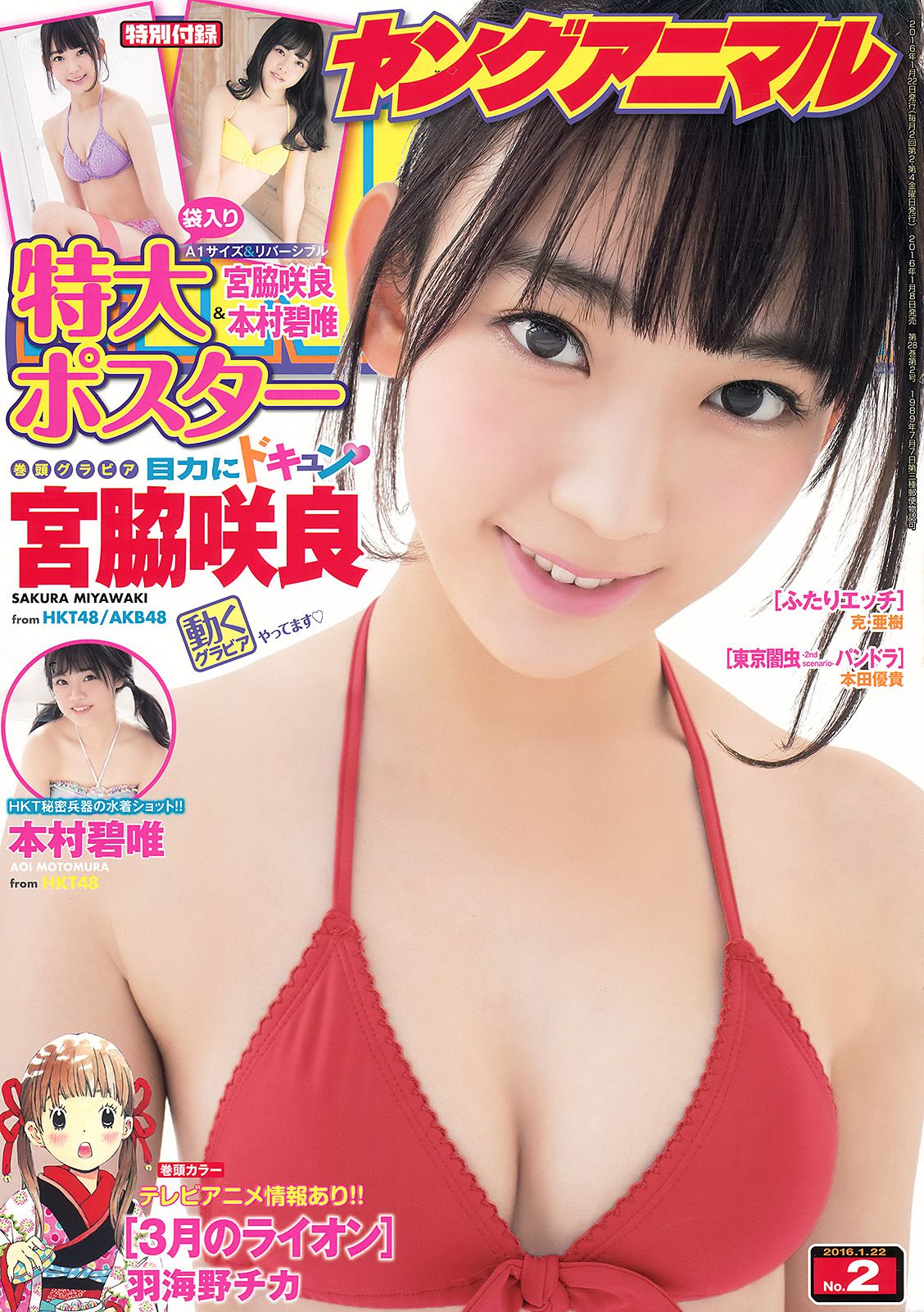 宮脇咲良 本村碧唯 [Young Animal] 2016年No.02 写真杂志_第1张