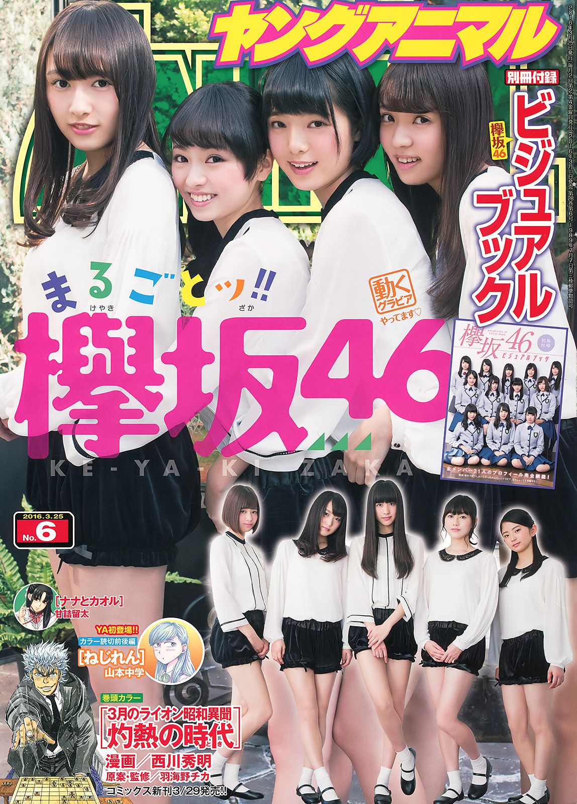 欅坂46 渡辺梨加 平手友梨奈 今泉佑唯 小林由依 [Young Animal] 2016年No.06 写真杂志_第1张