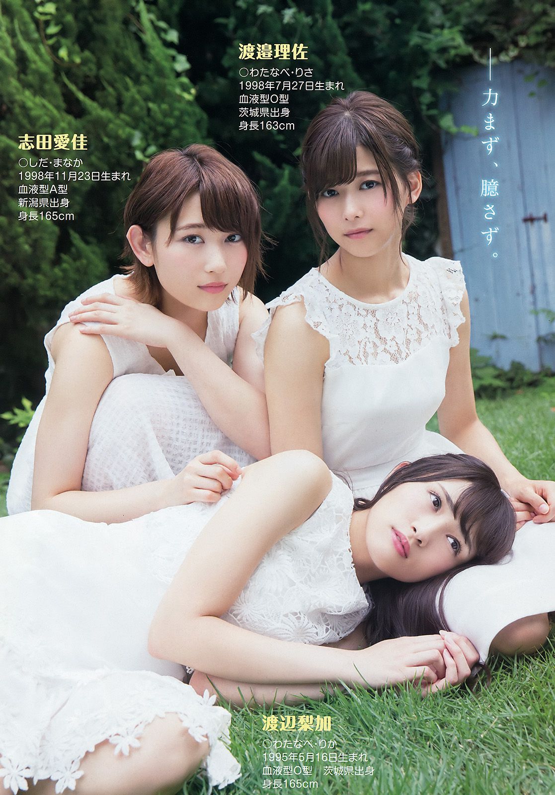 欅坂46 渡辺梨加 渡邉理佐 菅井友香 守屋茜 志田爱佳 [Young Animal] 2016年No.18 写真杂志_第5张