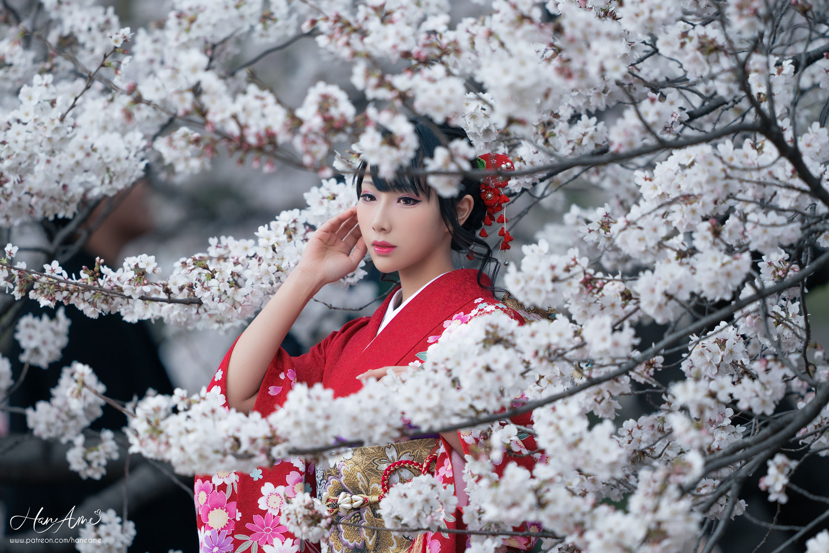 网红coser
