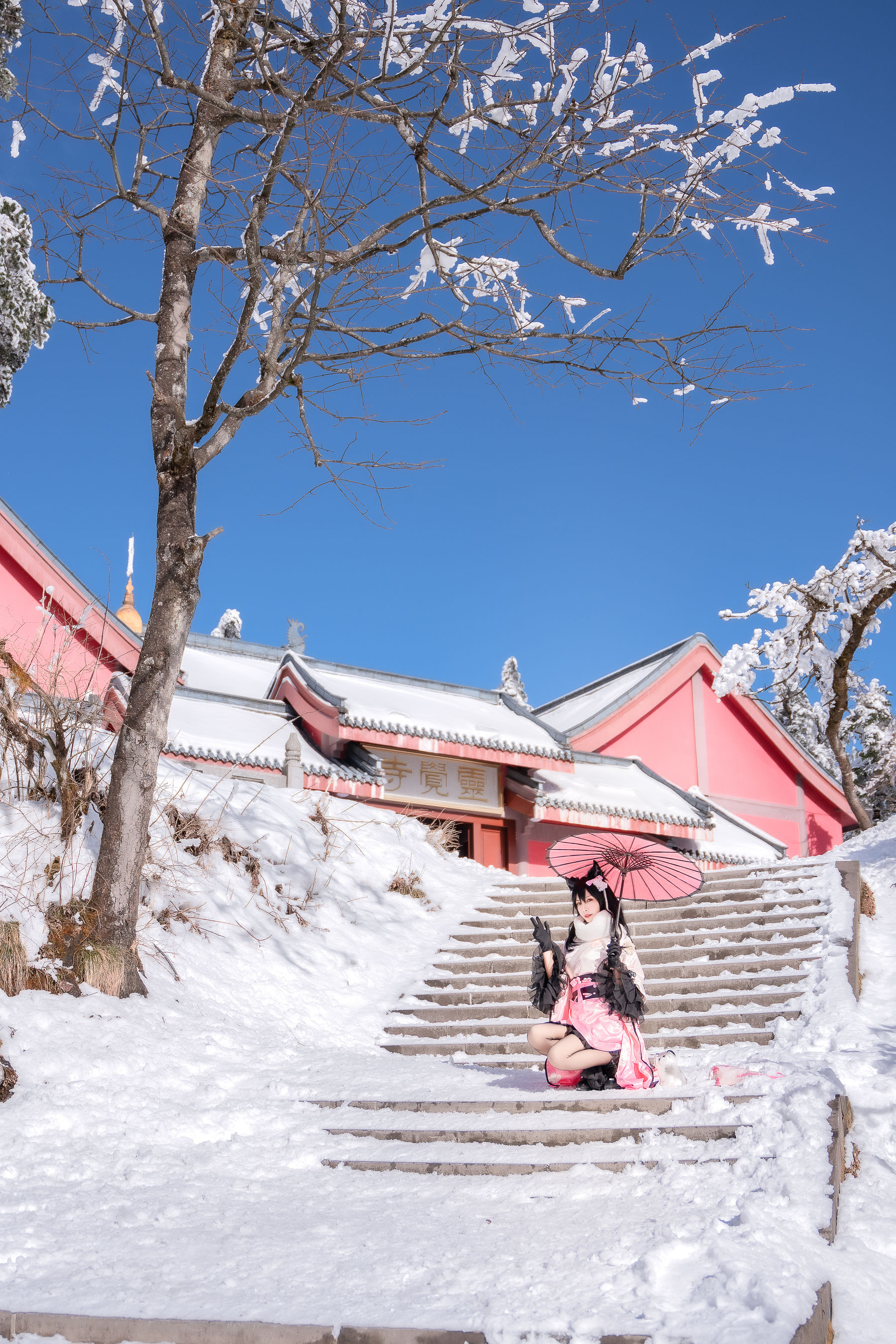 网红coser