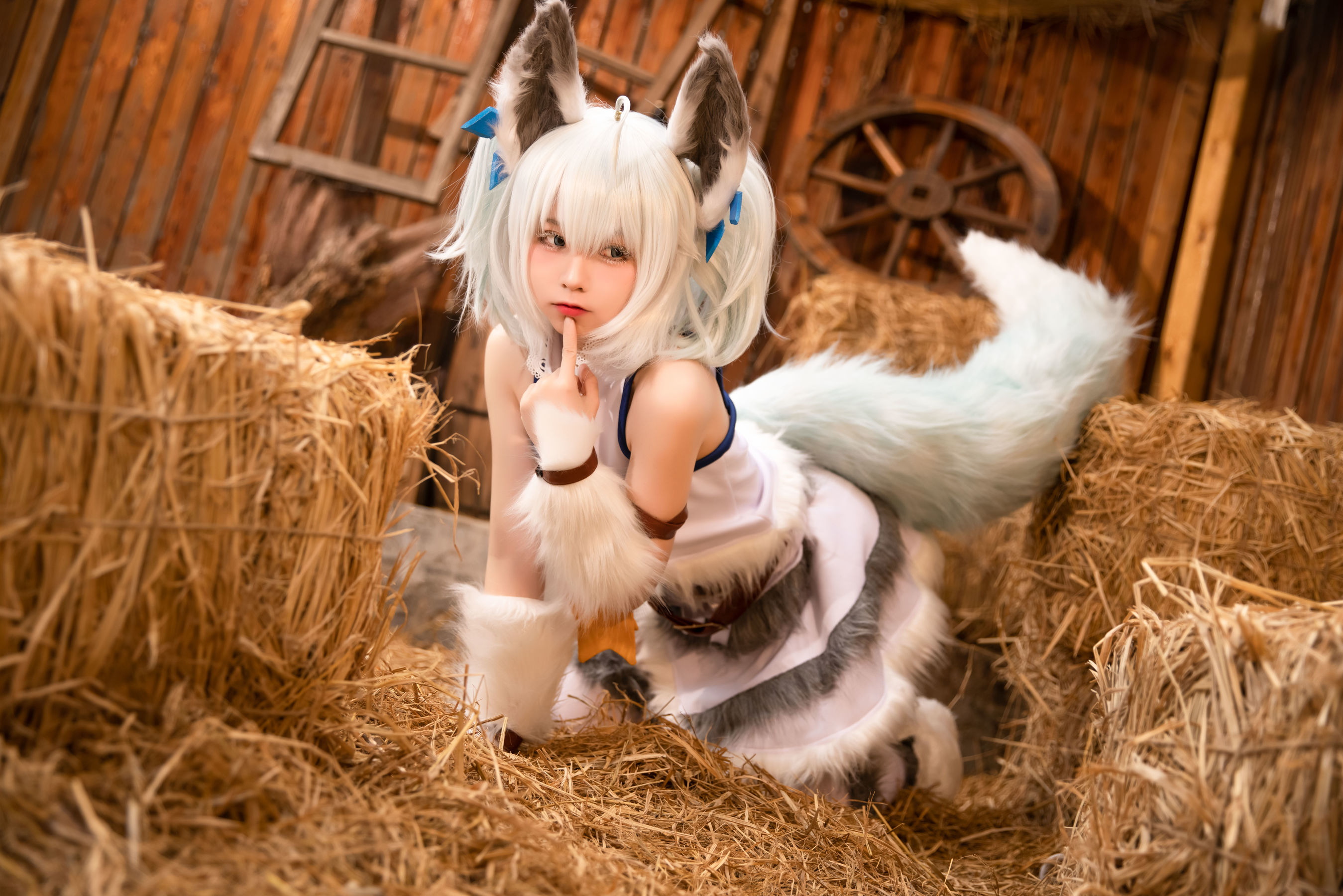 网红coser
