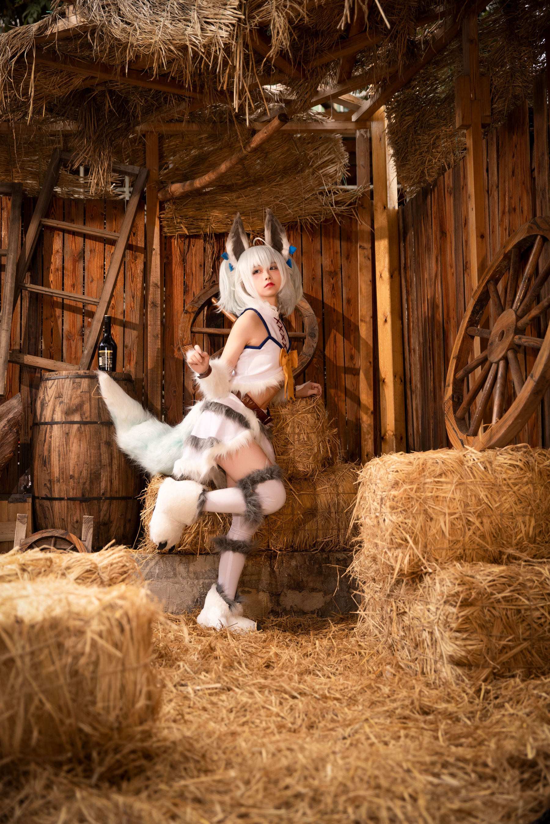 网红coser