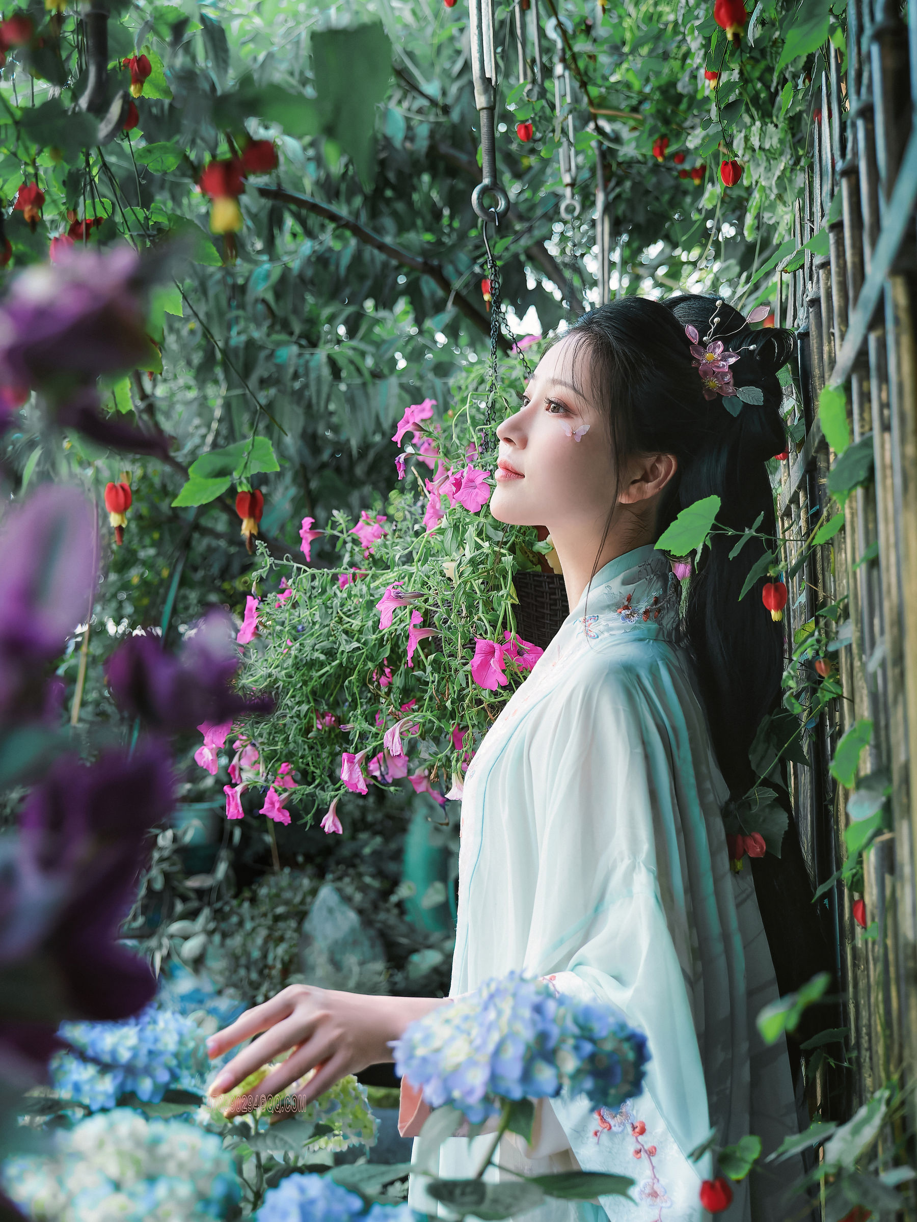 网红coser
