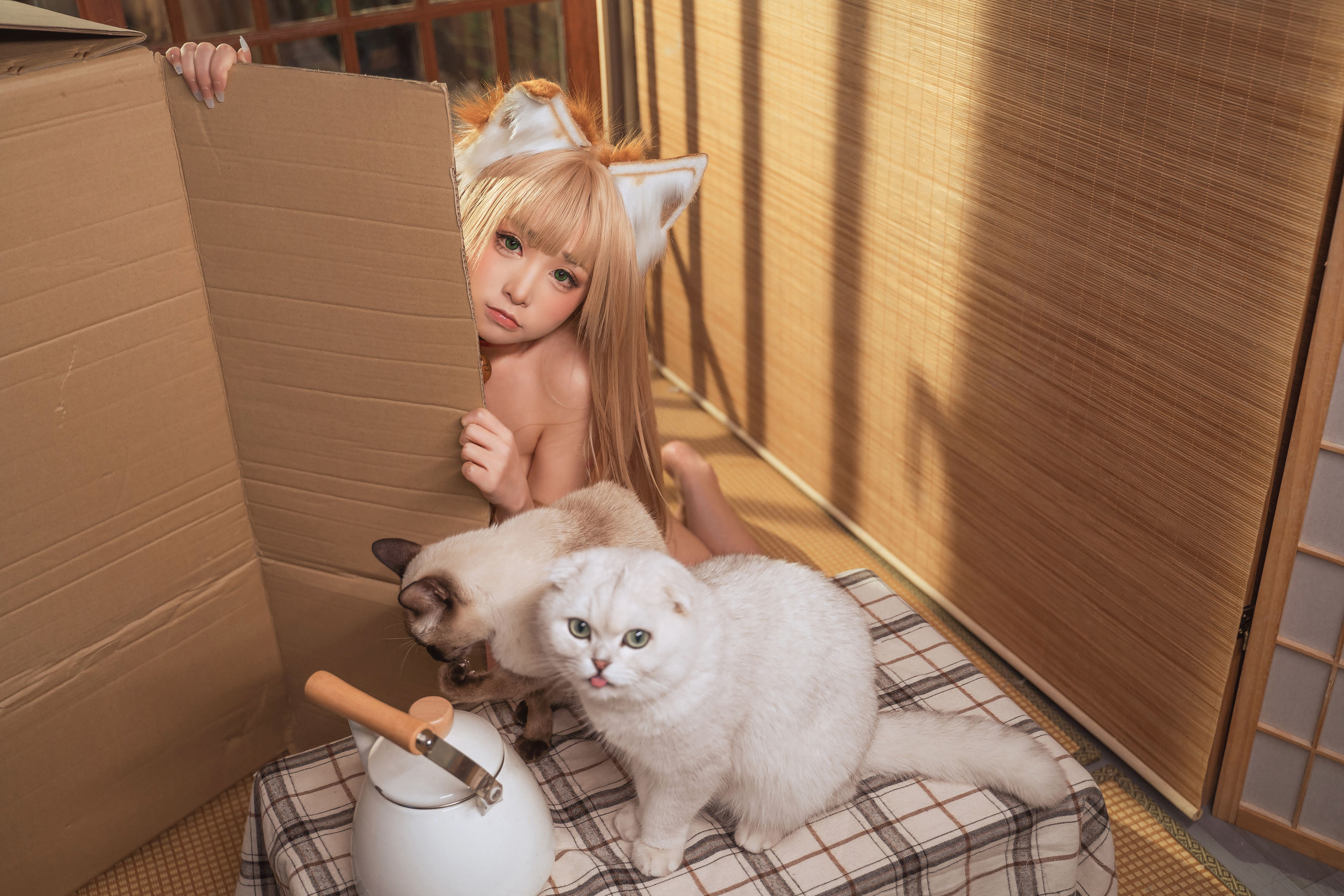 网红coser