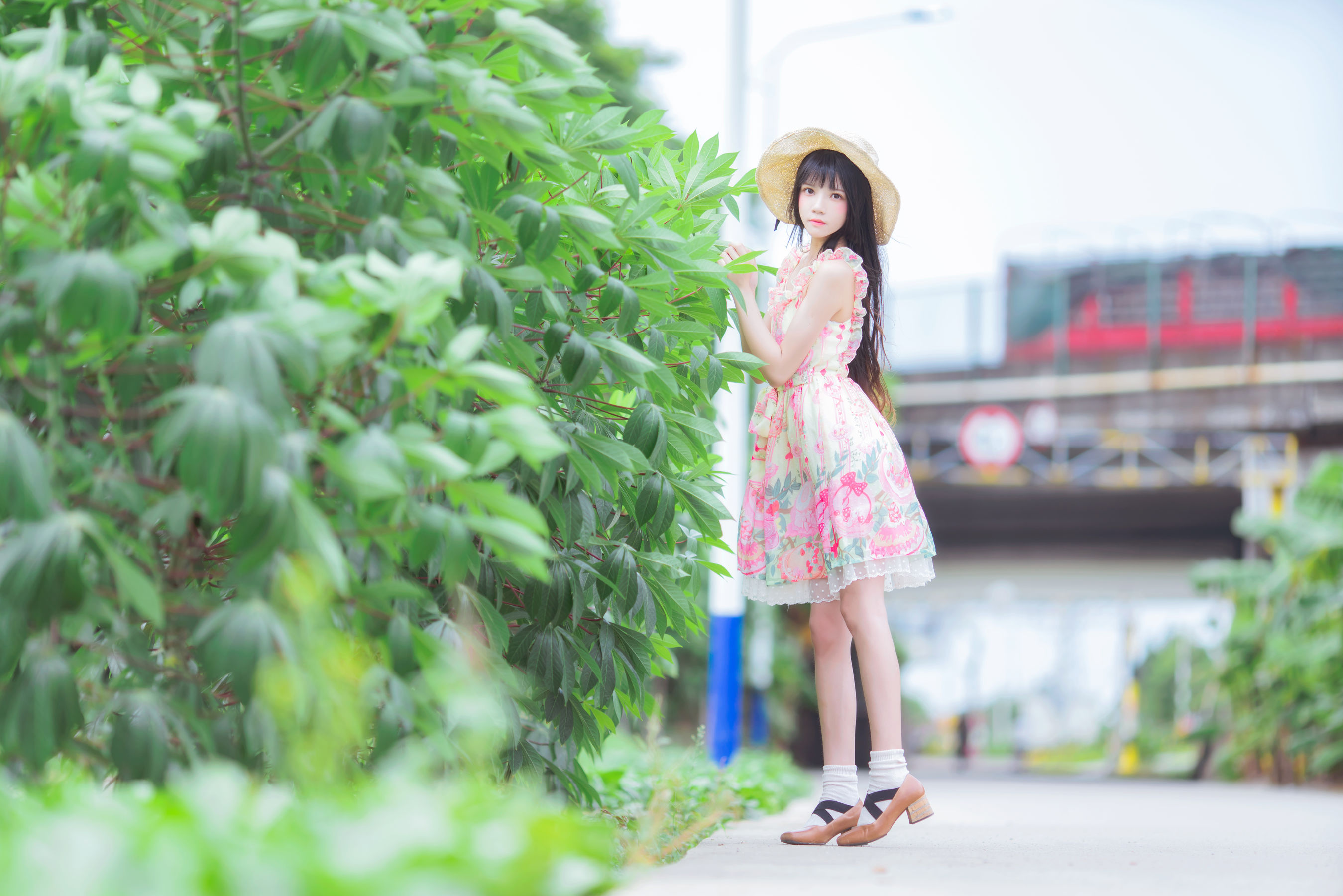 网红coser