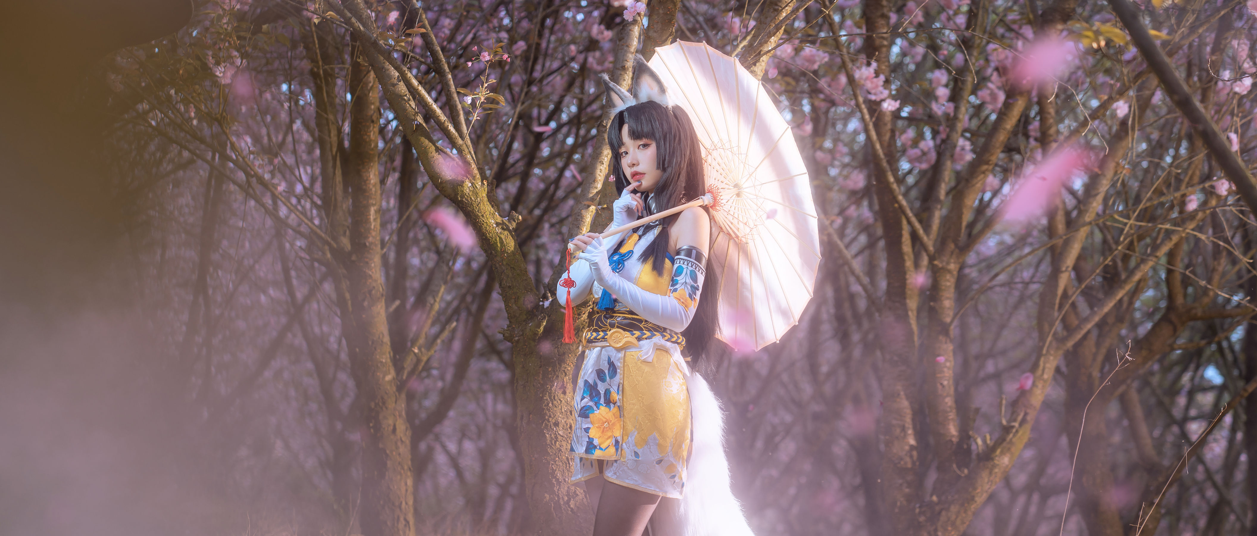 网红coser