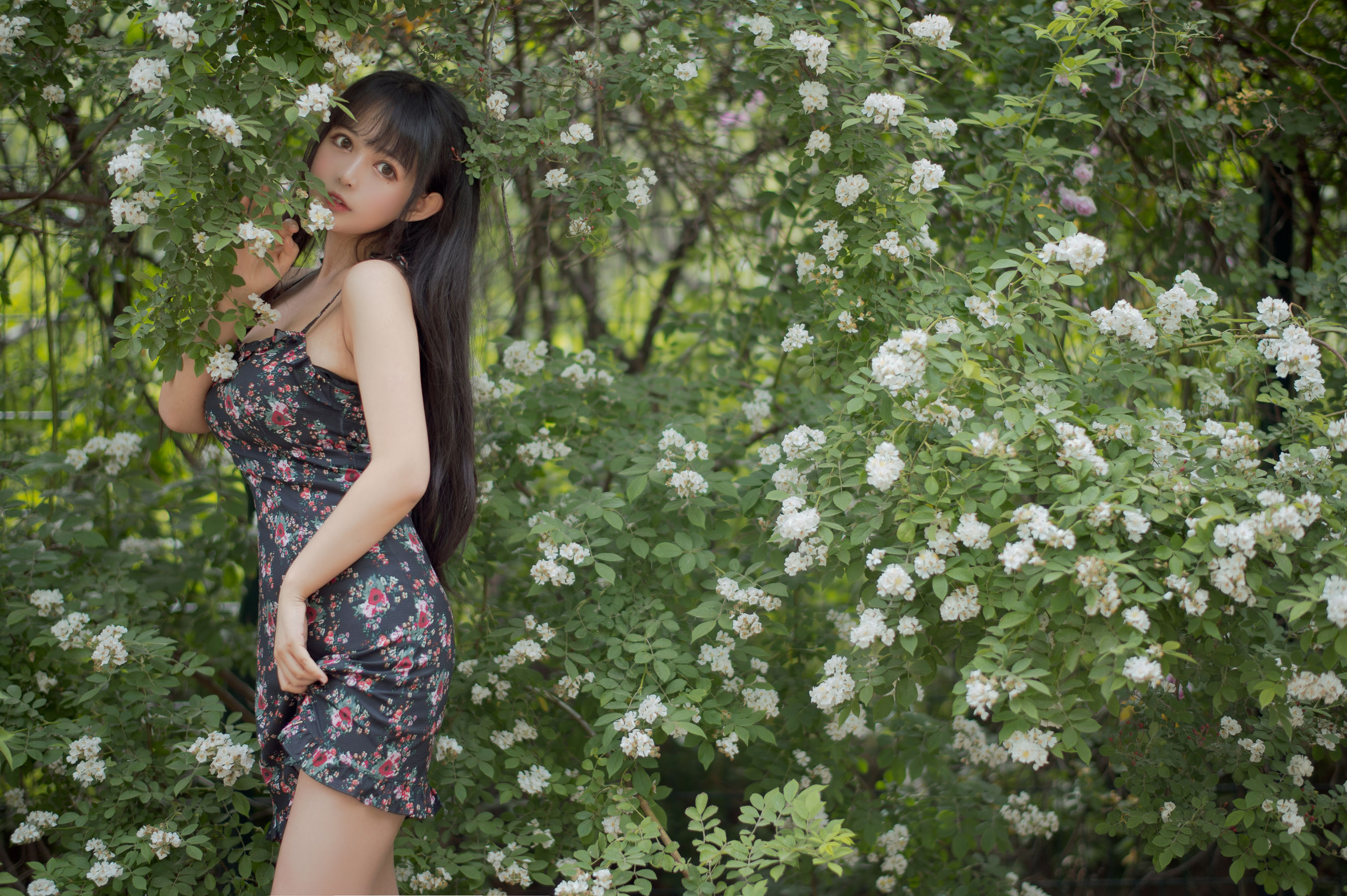 网红coser