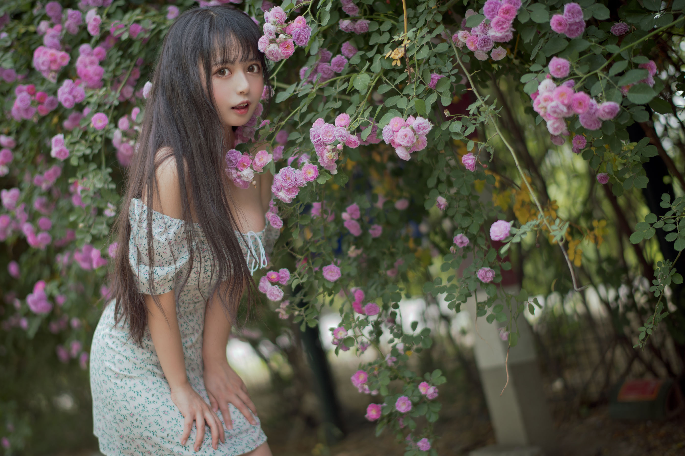 网红coser