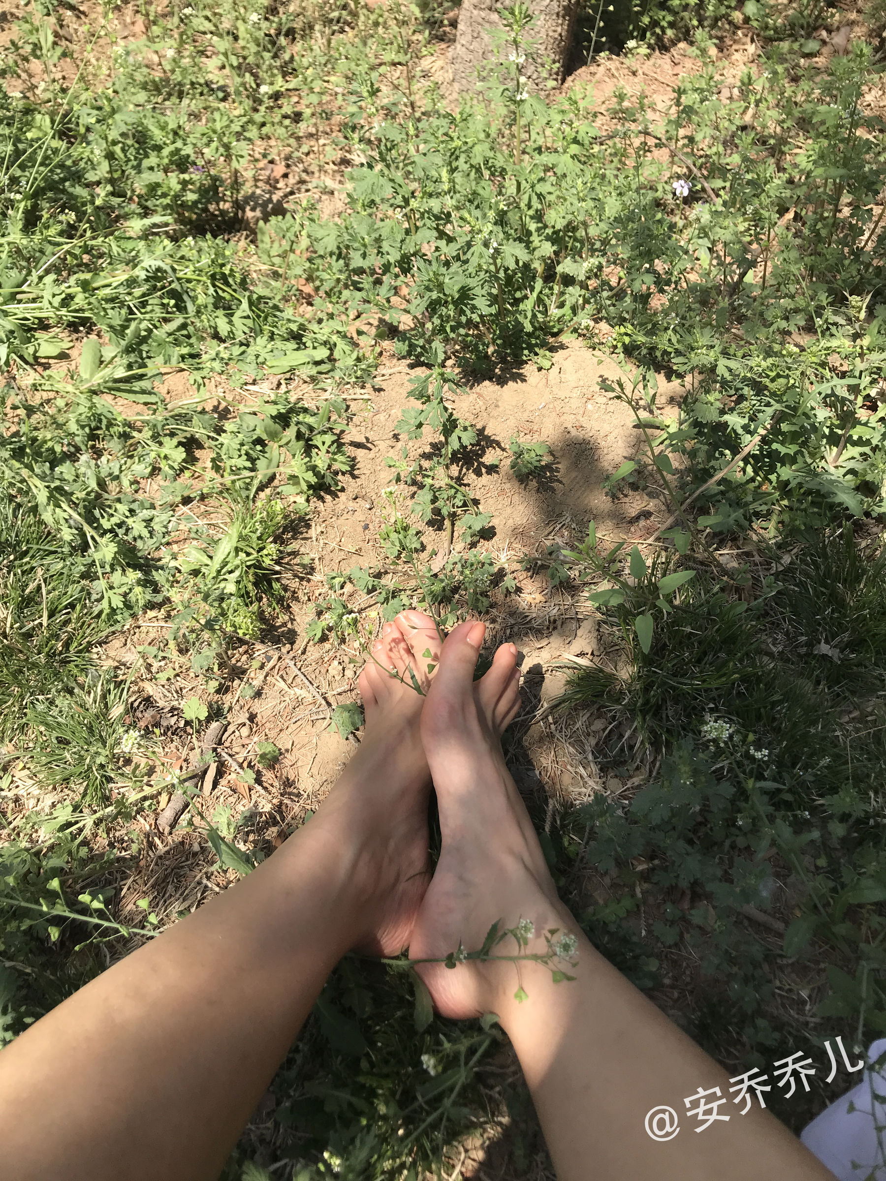 微密圈