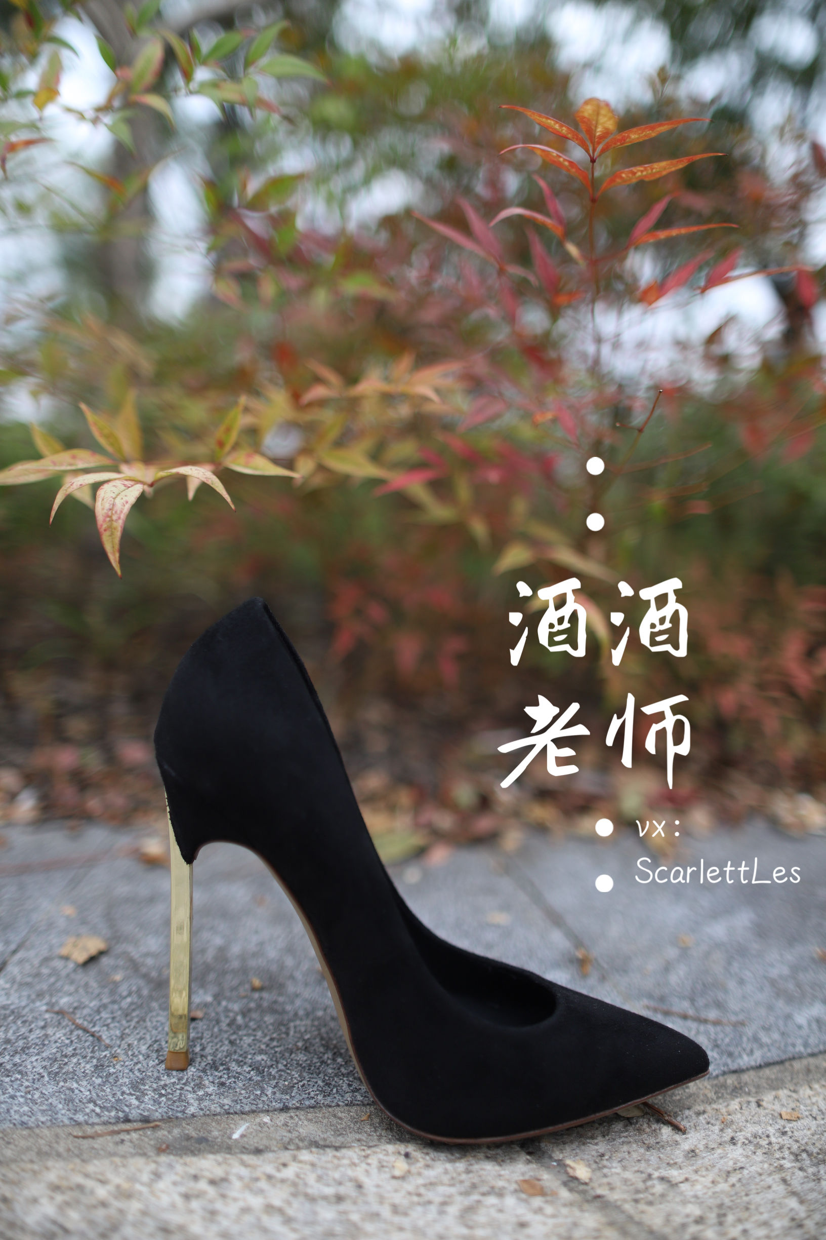 微密圈
