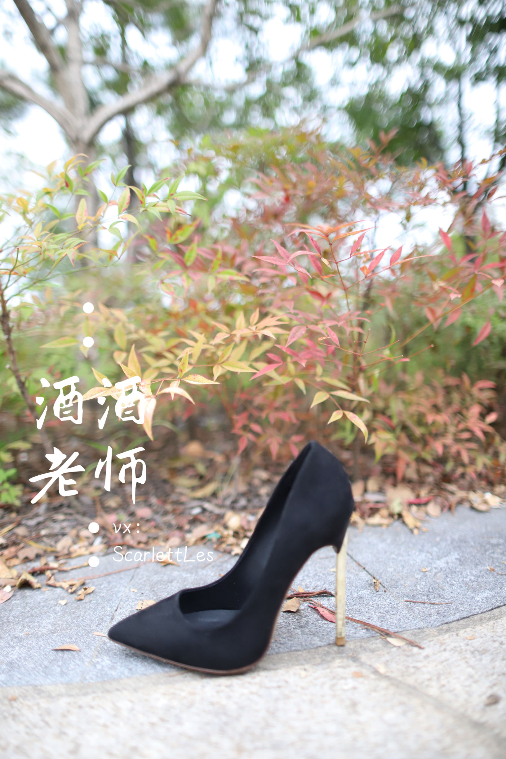 微密圈