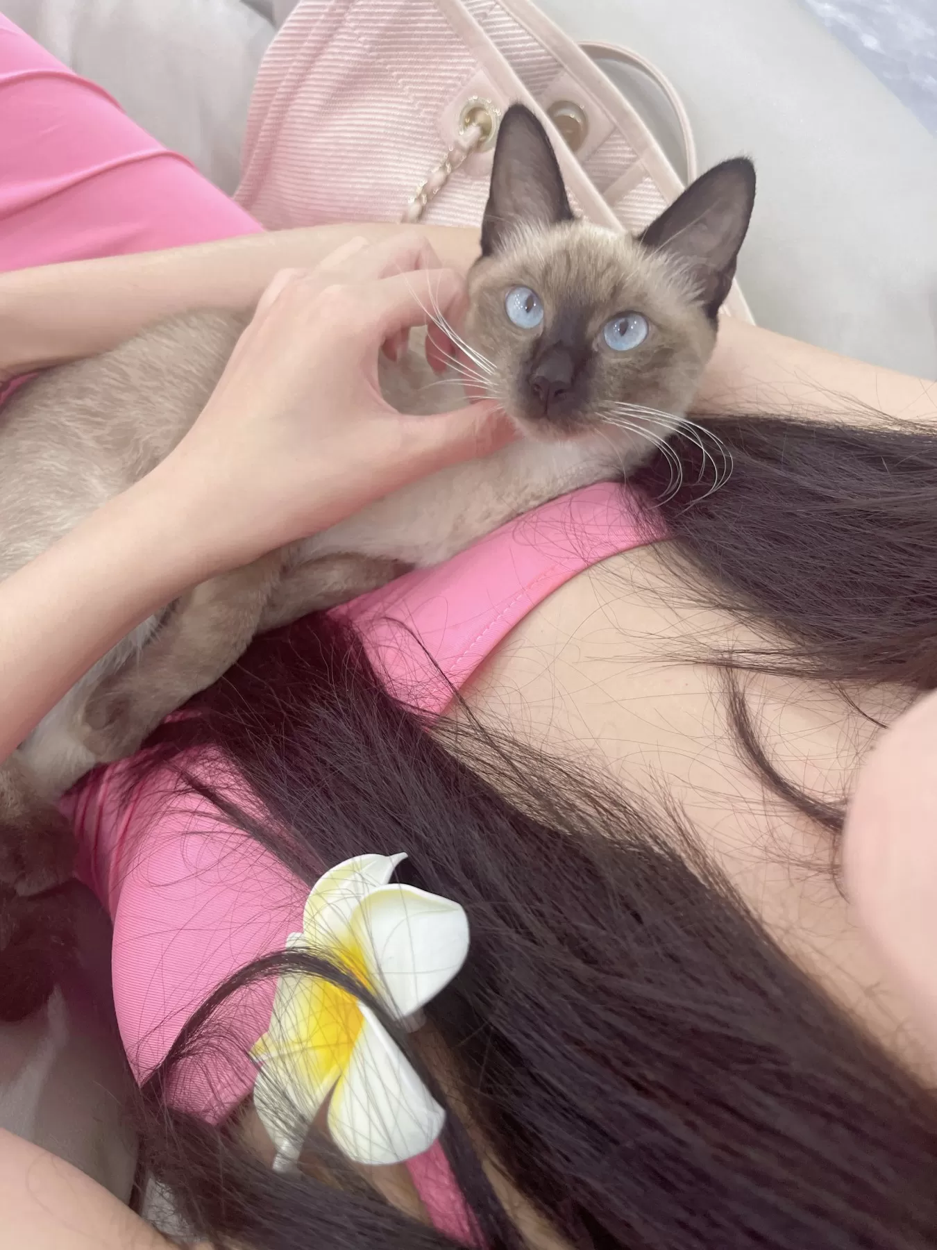 微密圈
