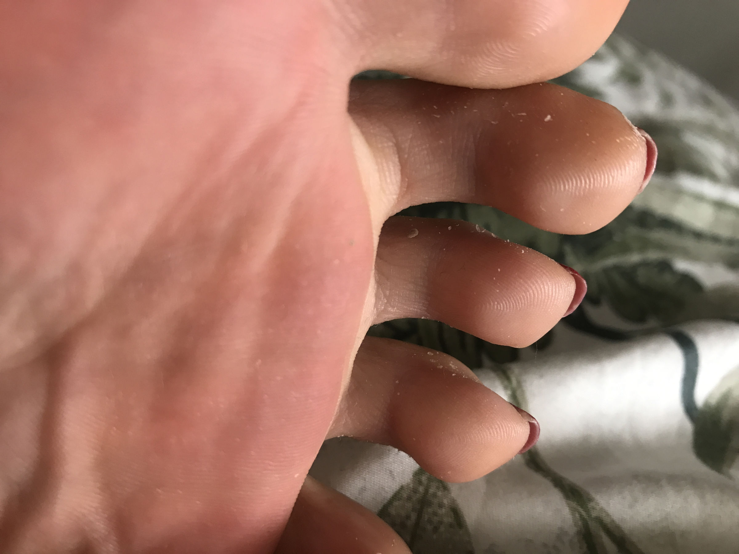 微密圈