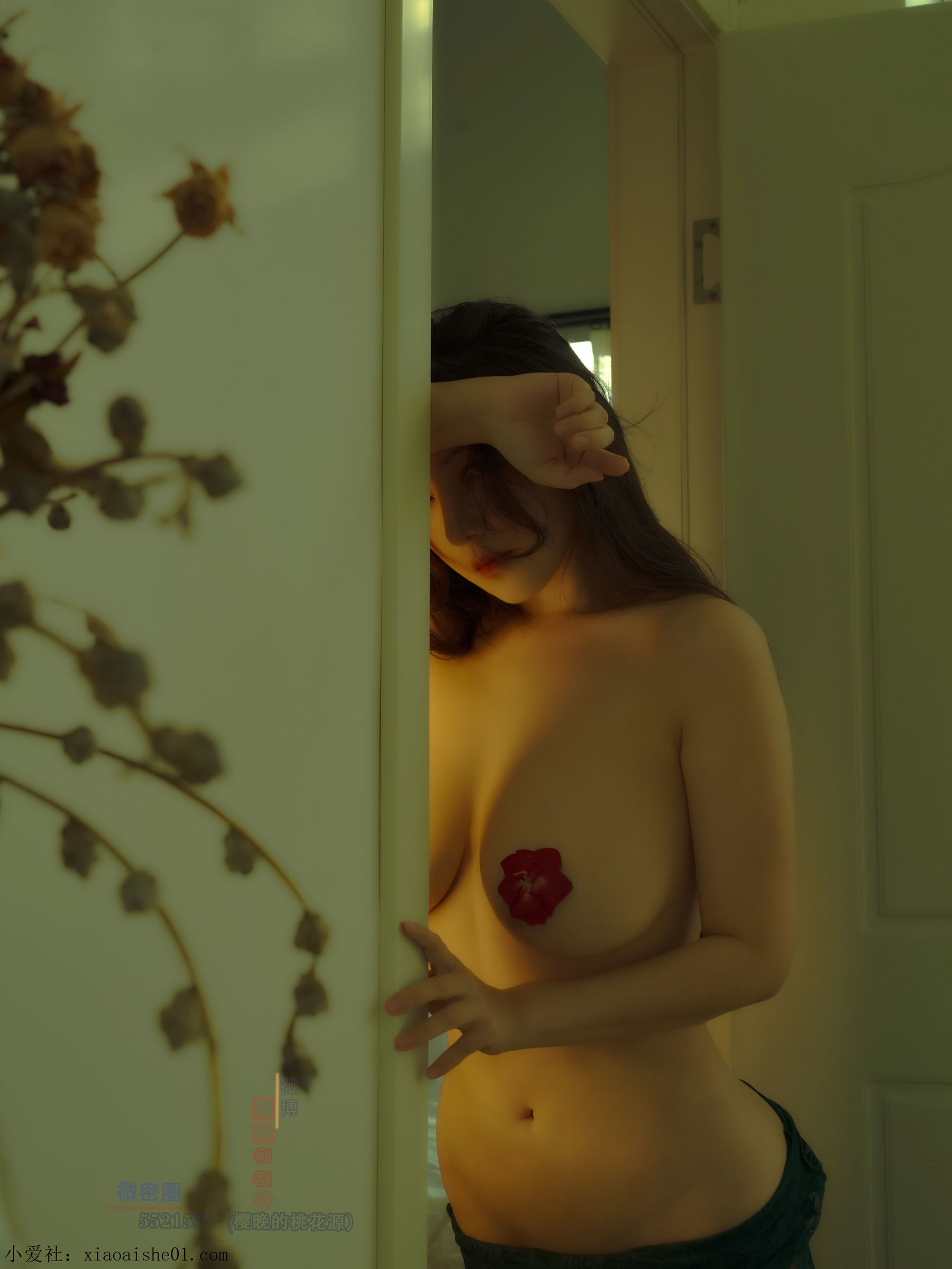微密圈