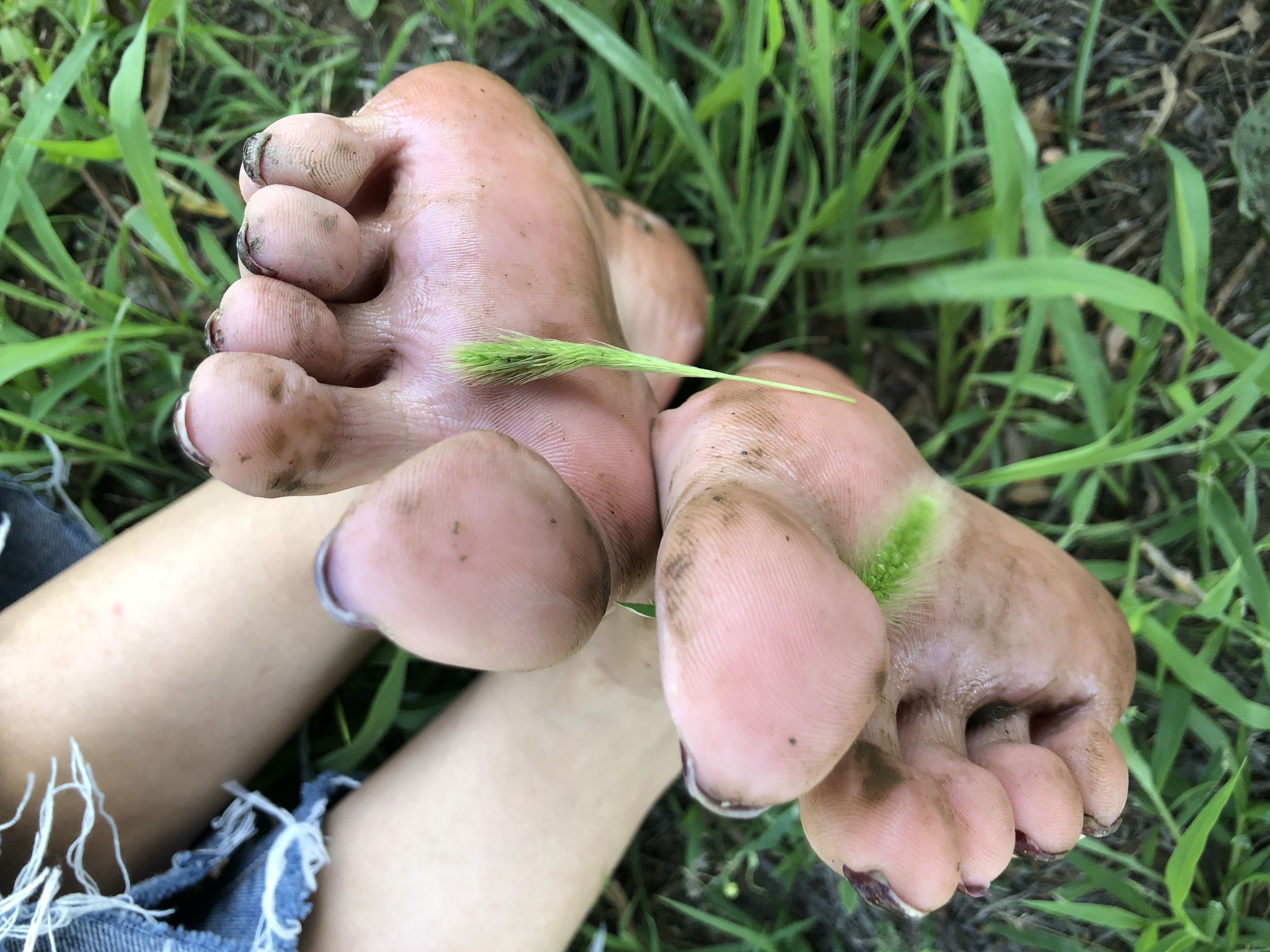微密圈