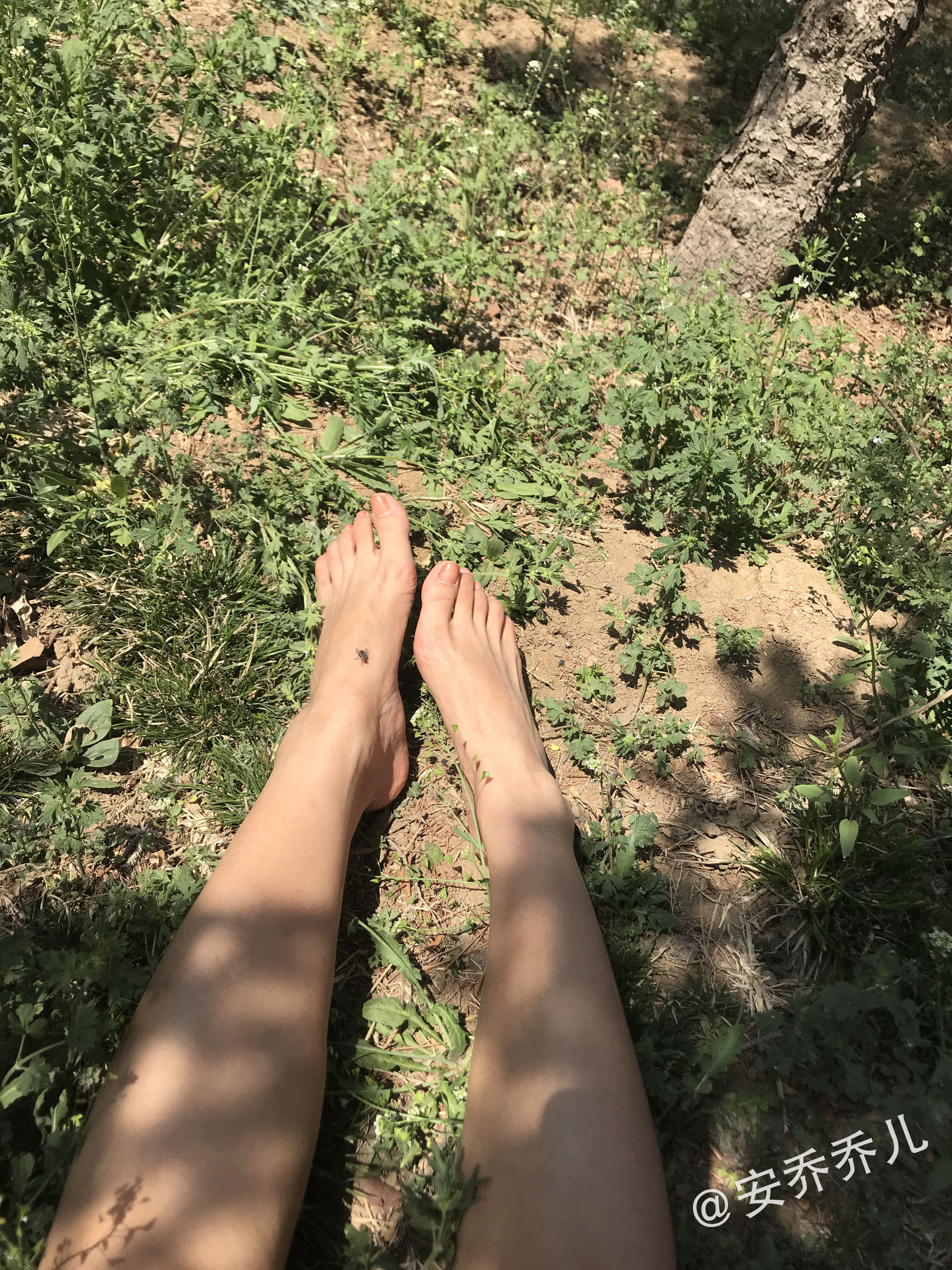 微密圈