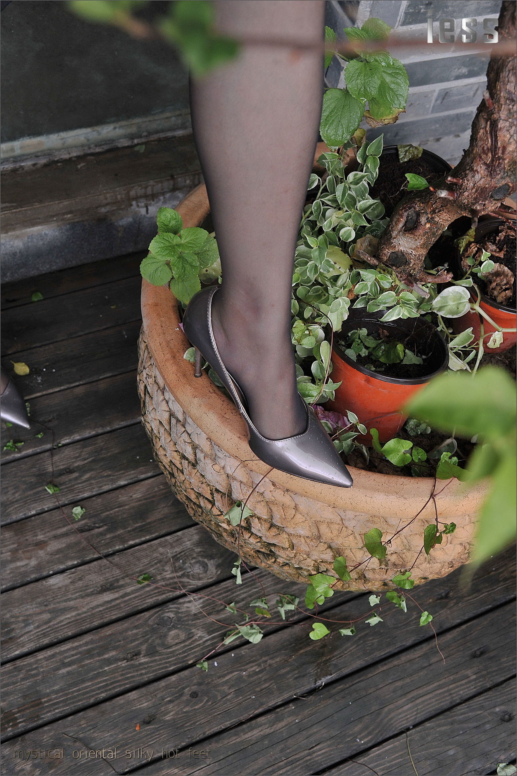 丝足便当029 小雪 《OL制服黑丝》[IESS异思趣向]_第4张