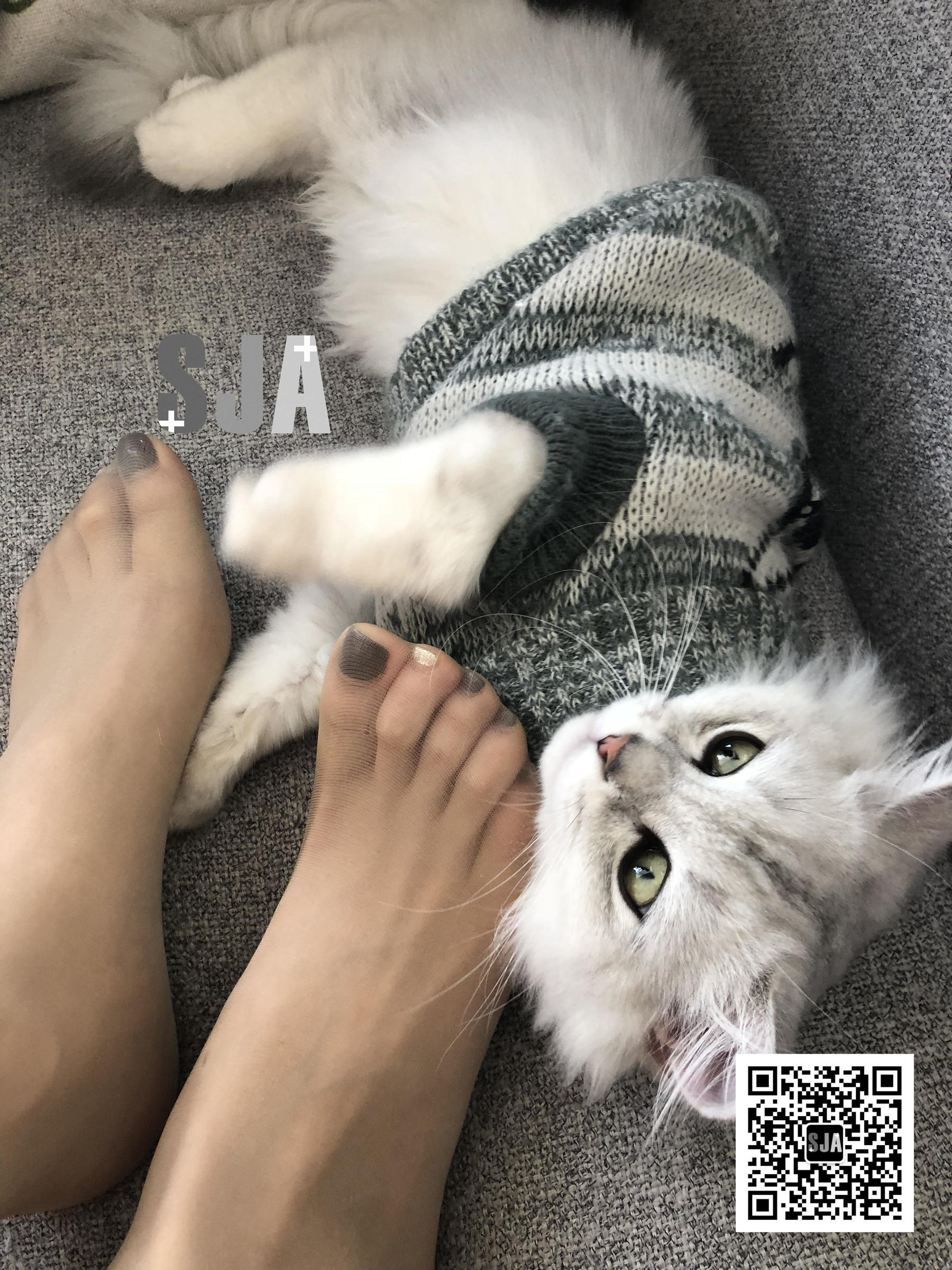 [佳爷SJA] Vol.013 佳爷 闺蜜视角《喵》_第2张