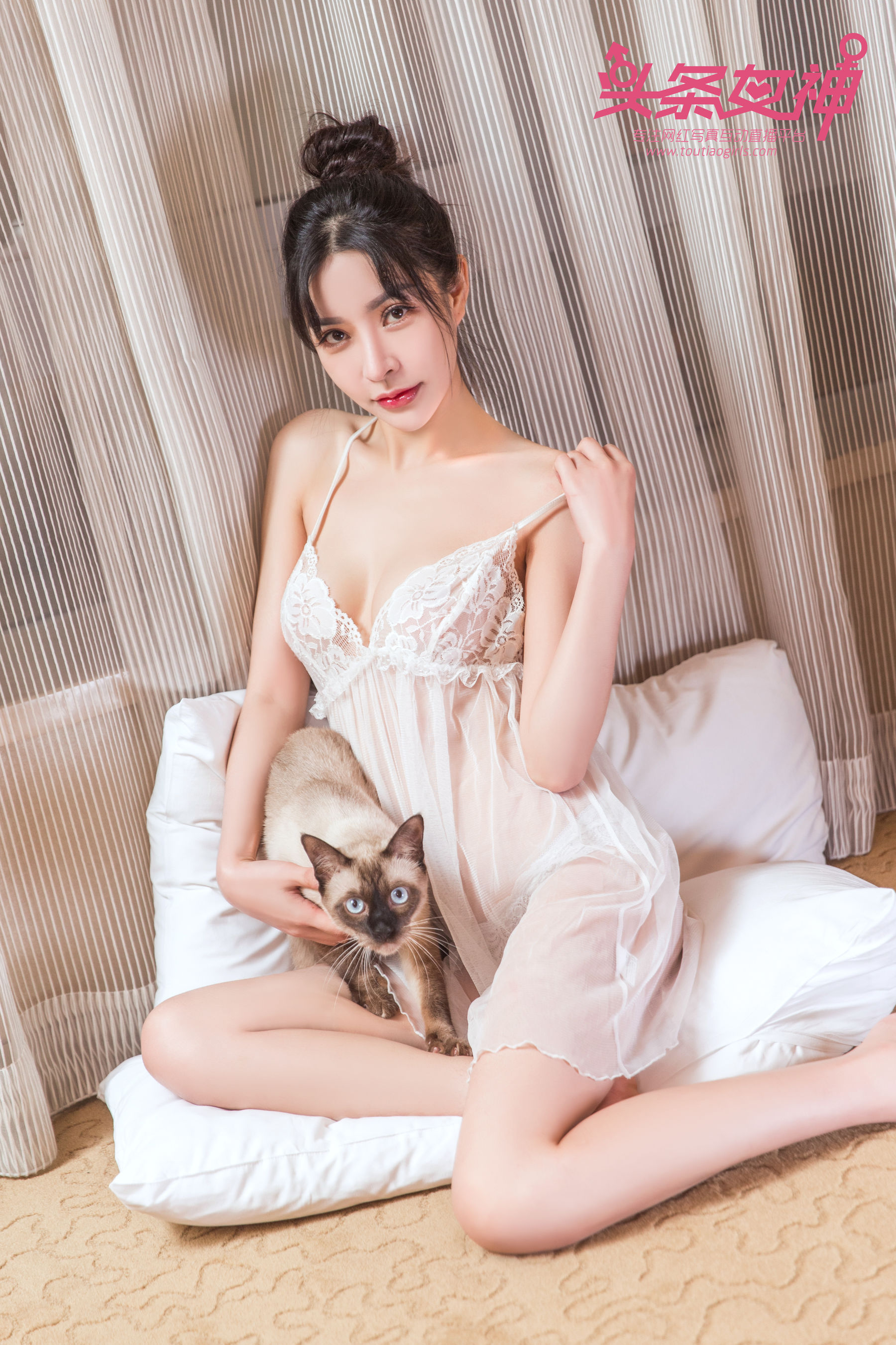 Baby《少女与猫》 [头条女神Toutiaogirls]_第1张