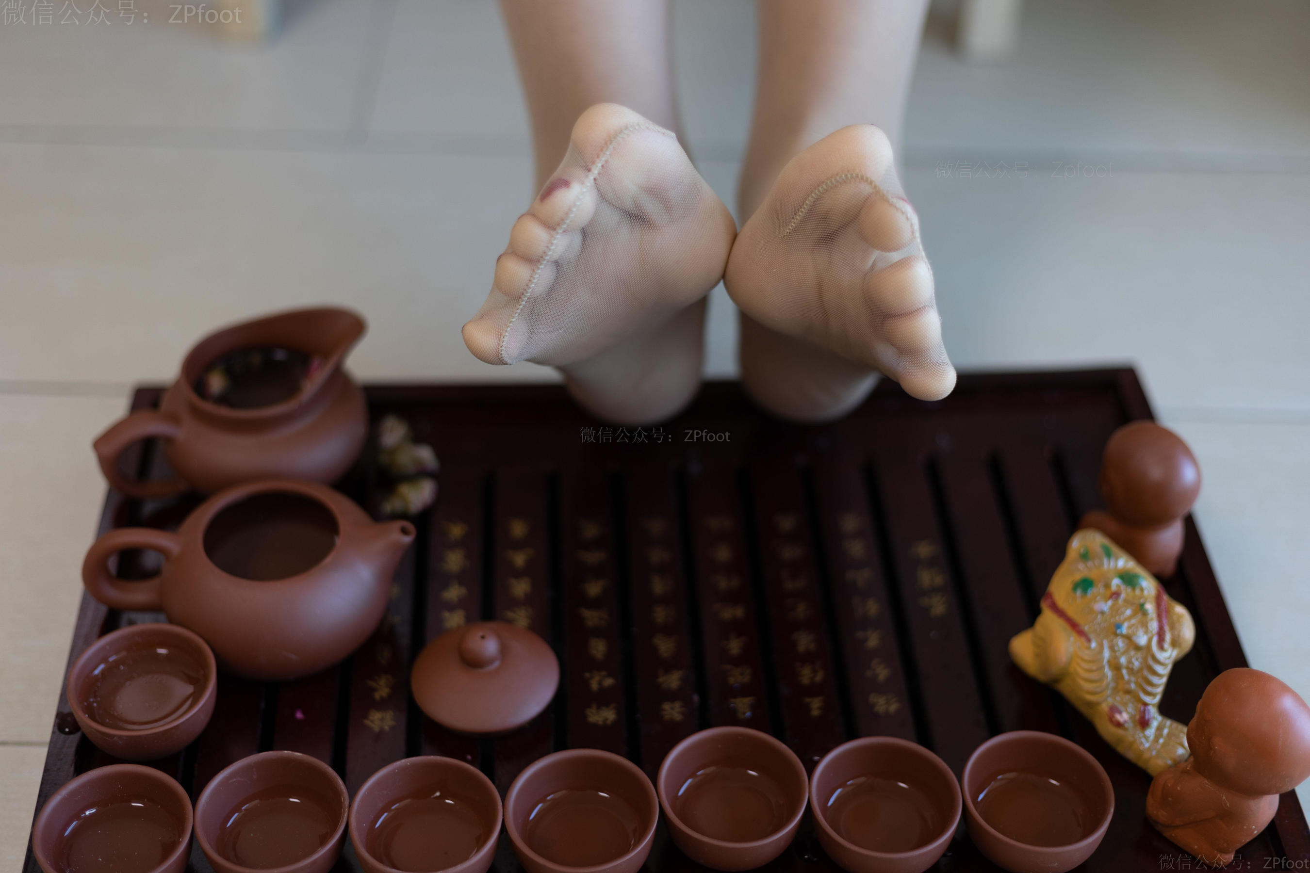[山茶摄影LSS] NO.063  丝泡茶_第5张