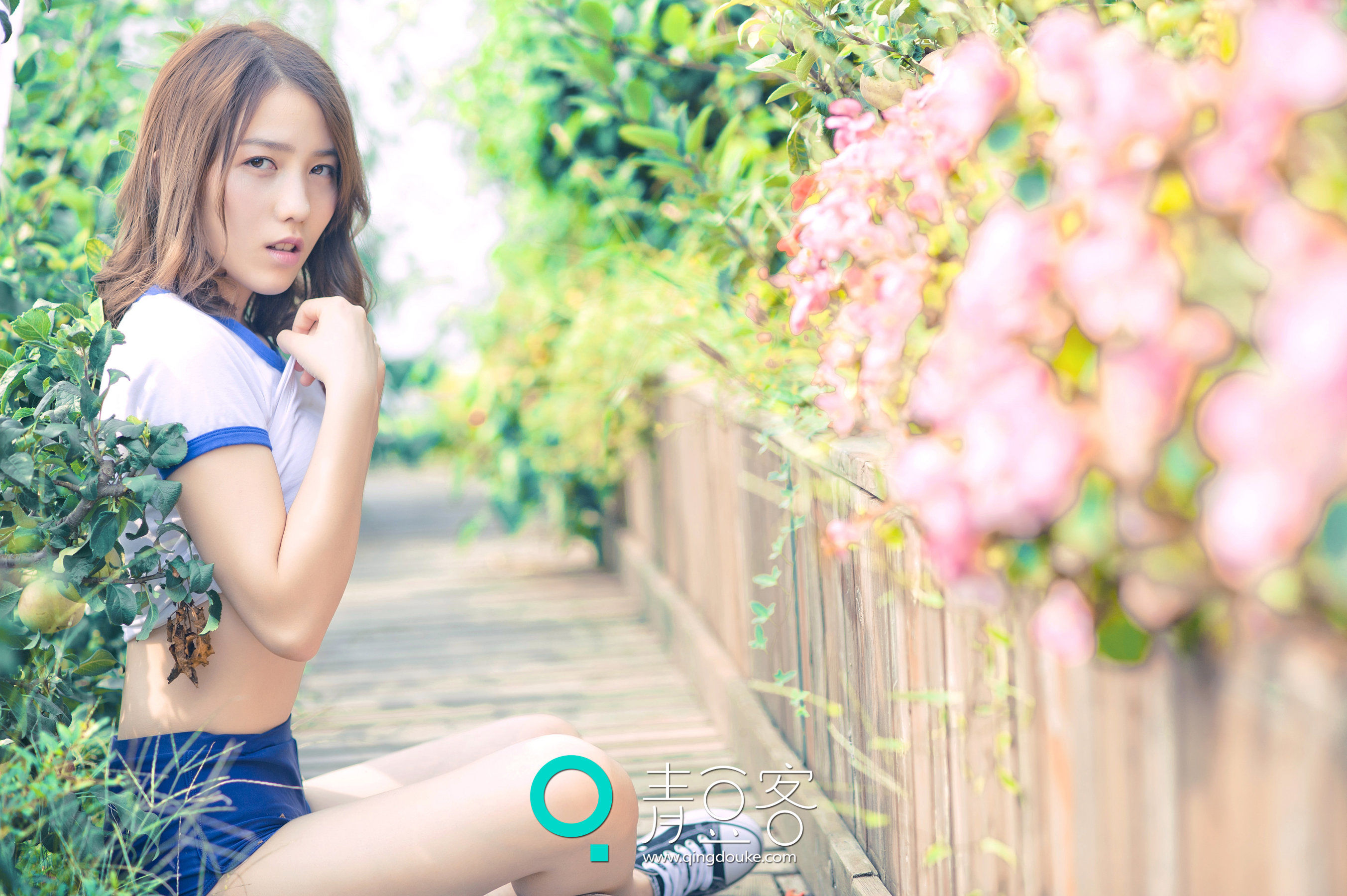 哈拿 第二部 [青豆客] 2016.12.29_第1张
